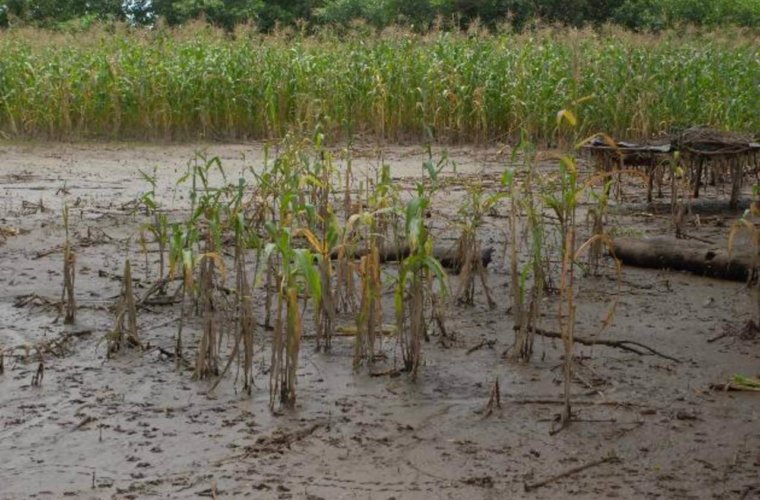 En Filipinas y Laureles están preocupados por las inundaciones Vías y cultivos ya han sido afectados.