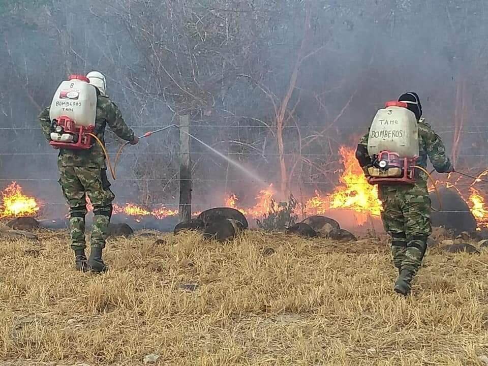 Especies calcinadas y cinco mil hectáreas devoradas por el fuego es el saldo que deja incendio forestal en el Municipio de Tame.