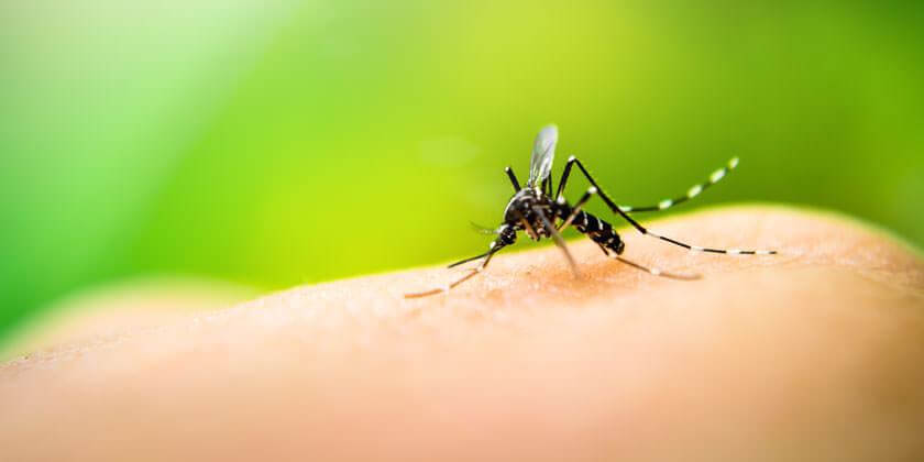 Se dispararon casos de dengue en Arauca. Iniciaron acciones preventivas y Fortul encabeza las estadísticas