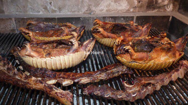 Riesgo de adquirir enfermedades zoonóticas al consumir animales silvestres en Semana Santa, advierte la Fundación Lógico y Zoo