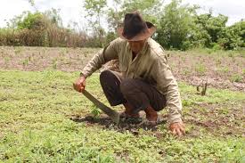 Campesinos de la vereda de Barrancones y aledañas continúan altamente preocupados por la falta de ayudas humanitarias.