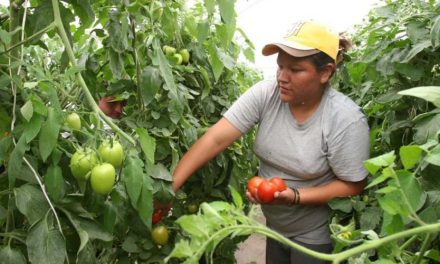 Convocatorias para las mujeres rurales en el departamento de Arauca